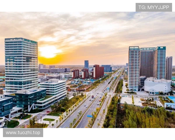 济南企业家创新引领城市高质量发展与产业升级新格局探索